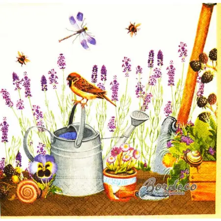 w ogrodzie, rośliny, zwierzęta i narzędzia