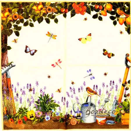 w ogrodzie, rośliny, zwierzęta i narzędzia