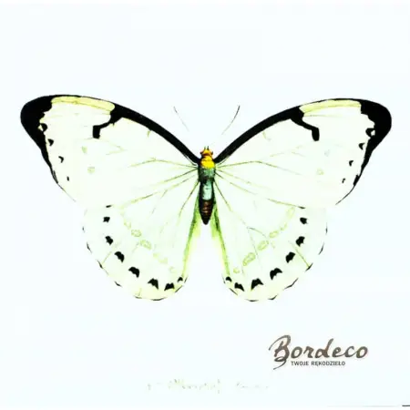 Serwetka do decoupage biały i czarny motyl 33x33 SAGEN Unikat