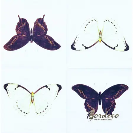 Serwetka do decoupage biały i czarny motyl 33x33 SAGEN Unikat