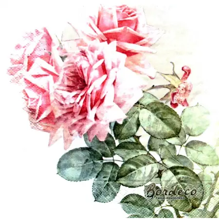 Serwetka do decoupage gałązki róż 33x33 firmy SAGEN