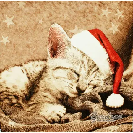 Serwetka do decoupage śpiący kotek w czapce 33x33 STEWO Unikat