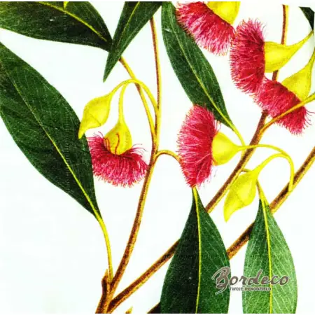 Serwetka do decoupage kwitnący eukaliptus 33x33 VIVA Unikat