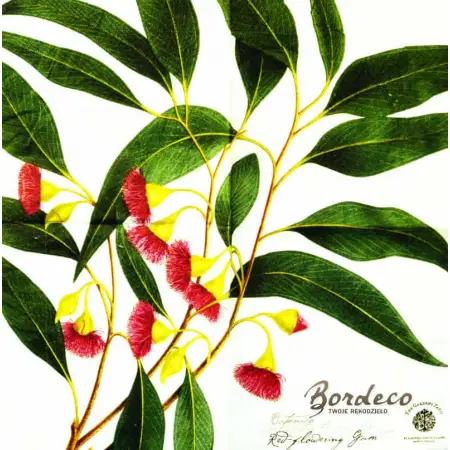 Serwetka do decoupage kwitnący eukaliptus 33x33 VIVA Unikat