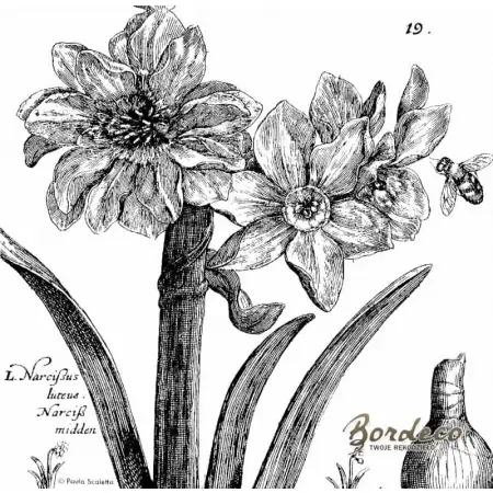 Serwetka do decoupage czarno-białe narcyzy grafika 33x33 VIVA. Unikat