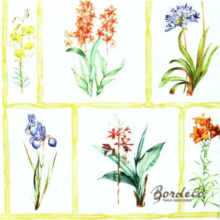 Serwetka do decoupage mix kwiatów w ramkach 33x33 ZARA HOME Unikat
