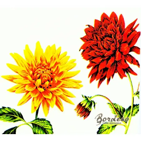 Serwetka do decoupage kolorowe dalie 25x25 IHR Unikat