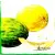 Serwetka do decoupage owoce arbuz i melon 33x33 ALIBABA Unikat