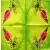 Serwetka do decoupage tulipan z motylem 33x33 ALIBABA Unikat