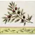 Serwetka do decoupage gałązka oliwki 25x25 Ambiente Unikat