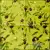 Serwetka do decoupage gałązki oliwek 33x33 Ambiente Unikat