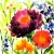 Serwetka do decoupage kwiaty ogrodowe akwarela 33x33 Ambiente Unikat