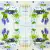 Serwetka do decoupage niebieskie kwiaty 33x33 Ambiente Unikat