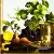 Serwetka do decoupage owocowa uczta 33x33 Ambiente Unikat