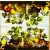 Serwetka do decoupage owocowa uczta 33x33 Ambiente Unikat