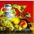 Serwetka do decoupage owocowa uczta 33x33 Ambiente Unikat