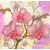 Serwetka do decoupage różowe storczyki 33x33 Ambiente Unikat