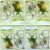 Serwetka do decoupage pastelowe margaretki 33x33 DUNI
