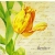 Serwetka do decoupage wielobarwne tulipany 33x33 DUNI Unikat
