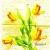 Serwetka do decoupage wielobarwne tulipany 33x33 DUNI Unikat