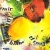 Serwetka decoupage malowane owoce 33x33 GOMAR