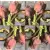 Serwetka do decoupage kwiaty karczocha 33x33 H&M Unikat