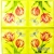 Serwetka do decoupage tulipany i ważka  33x33 HRC