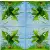 Serwetka do decoupage konwalie 25x25 HOME Unikat