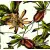 Serwetka do decoupage  passiflora 25x25 IHR Unikat