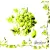 Serwetka do decoupage zielone winogrona 25x25 IHR Unikat