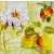 Serwetka do decoupage jabłka i kwiat jabłoni 33x33 NOUVEAU Unikat