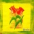 Serwetka do decoupage dwa tulipany 33x33 PAW