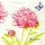 Serwetka do decoupage różowe peonie, piwonie z motylkiem 33x33 PAW Unikat