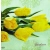 Serwetka do decoupage żółte tulipany 33x33 PAW Unikat