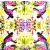 Serwetka do decoupage egzotyczny ptak 33x33 PPD Unikat