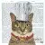 Serwetka do decoupage w stylu retro z kotem kucharzem 25x25 PPD Unikat