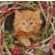 Serwetka do decoupage rudy kotek 33x33 PPD Unikat