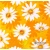 Serwetka do decoupage stokrotki 25x25 PPD Unikat