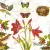 Serwetka do decoupage flora i fauna świąt 33x33 PPD Unikat