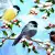 Serwetka do decoupage ptaszki wróble  zimą na gałązce 33x33 PPD Unikat