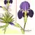 Serwetka do decoupage irysy i orchidee botaniczne 33x33 R&F Unikat