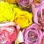 Serwetka do decoupage kolorowe pąki róż 33x33 R&F Unikat