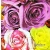 Serwetka do decoupage kolorowe pąki róż 33x33 R&F Unikat
