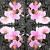 Serwetka do decoupage różowy storczyk, orchidea 33x33 R&F Unikat