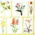 Serwetka do decoupage mix kwiatów w ramkach 33x33 ZARA HOME Unikat
