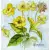 Serwetka do decoupage szkicowane kwiaty 33x33 ZARA HOME Unikat