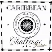 Serwetka do decoupage Caribbean Challenge 33x33 Ambiente Unikat