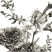 Serwetka do decoupage kwiaty ogrodowe czarno-białe 33x33 IHR Unikat