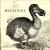 Serwetka do decoupage ptak Dodo z Mauritiusa 33x33 IHR Unikat