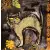 Serwetka do decoupage kot nocą 25x25 IHR